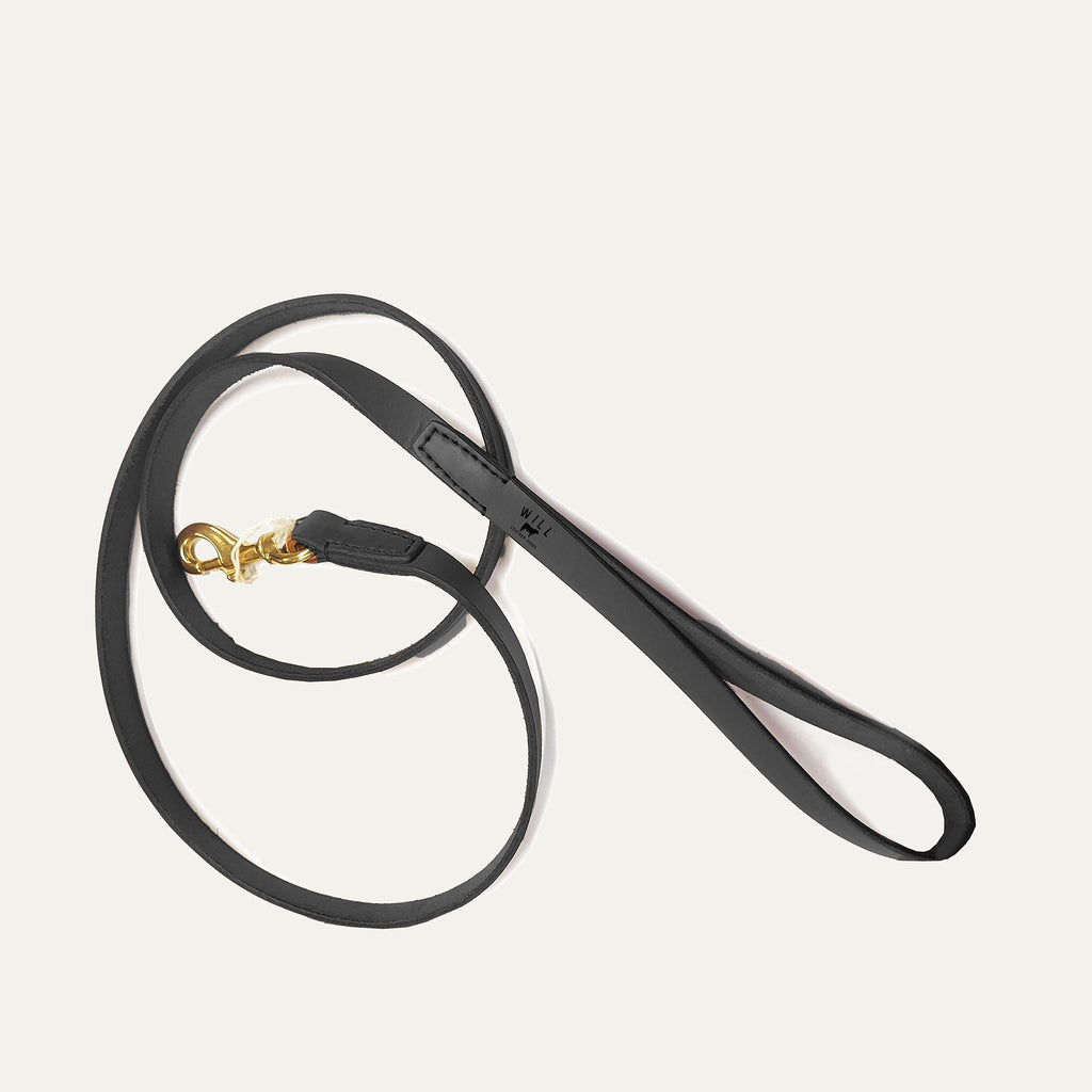 Dog Leash
