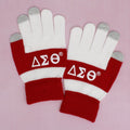 Delta Sigma Theta Touch & Grip Winter Gloves