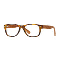 SHAW BLUE LIGHT READERS