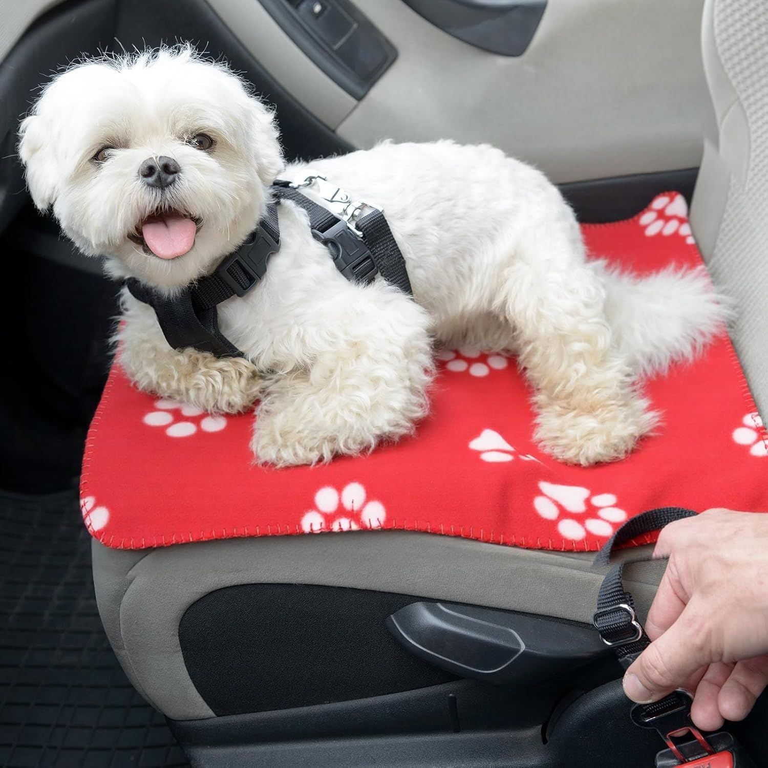 10 Pieces Pet Blankets with Paw Print Dog Cat Fleece Blankets Soft Warm Sleep Mat Pad Bed Cover for Kitten Puppy and Other Small Animals, 24 x 28 Inch