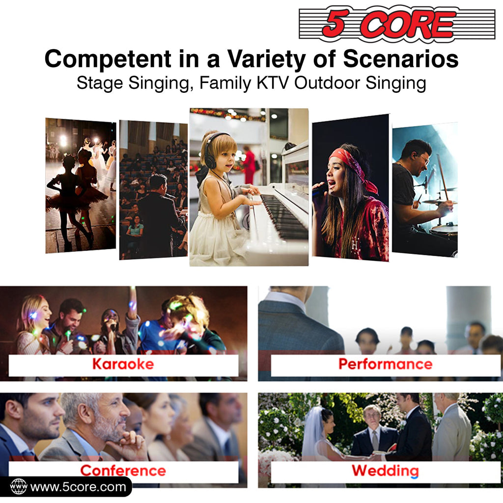 5 Core Microphone Wired Dynamic Vocal Handheld Mic Cardioid Karaoke Unidirectional Microfono w On and Off Switch Includes XLR Audio Cable for Singing, Public Speaking & Parties PM 305