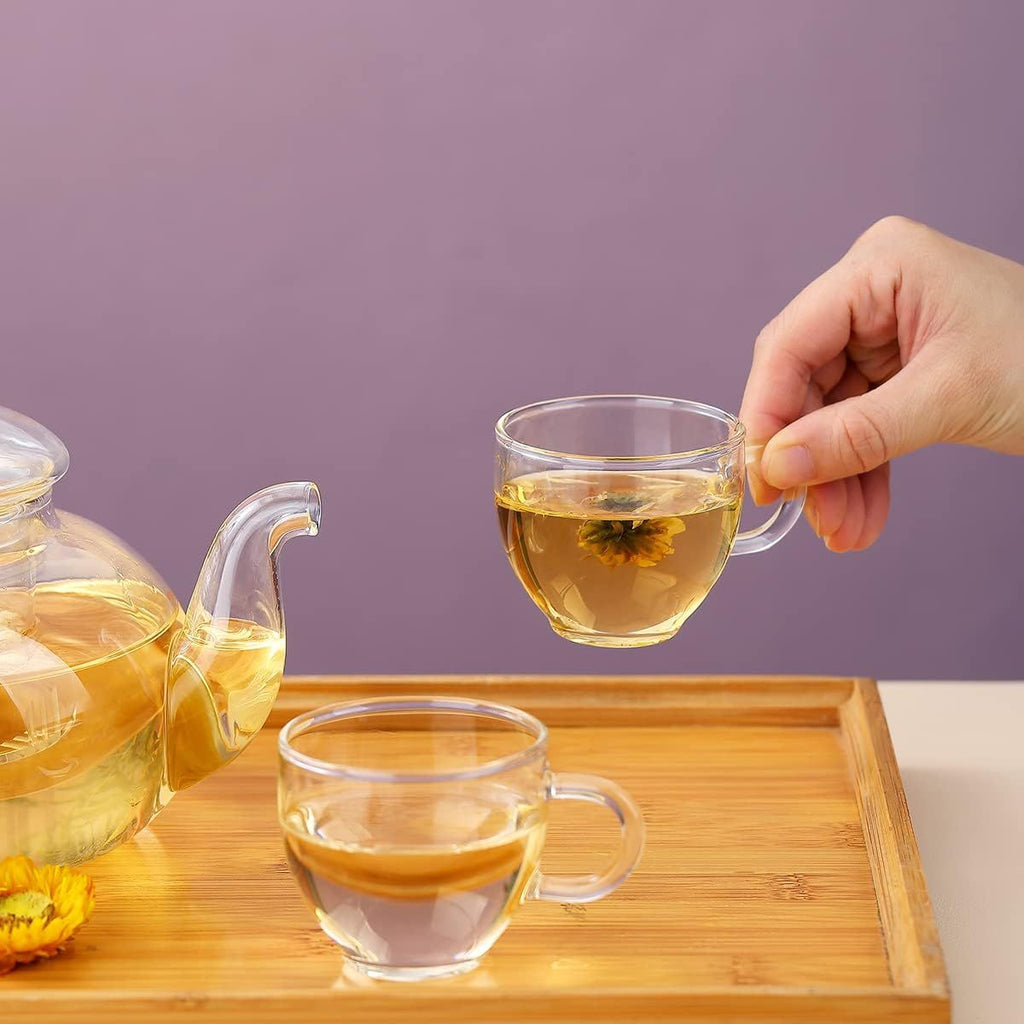 Glass Tea Pot with 4 Tea Cups, Removable Infuser, Blooming and Loose Leaf Tea Maker and Teacups Set, Stovetop Microwave Safe Tea Kettle