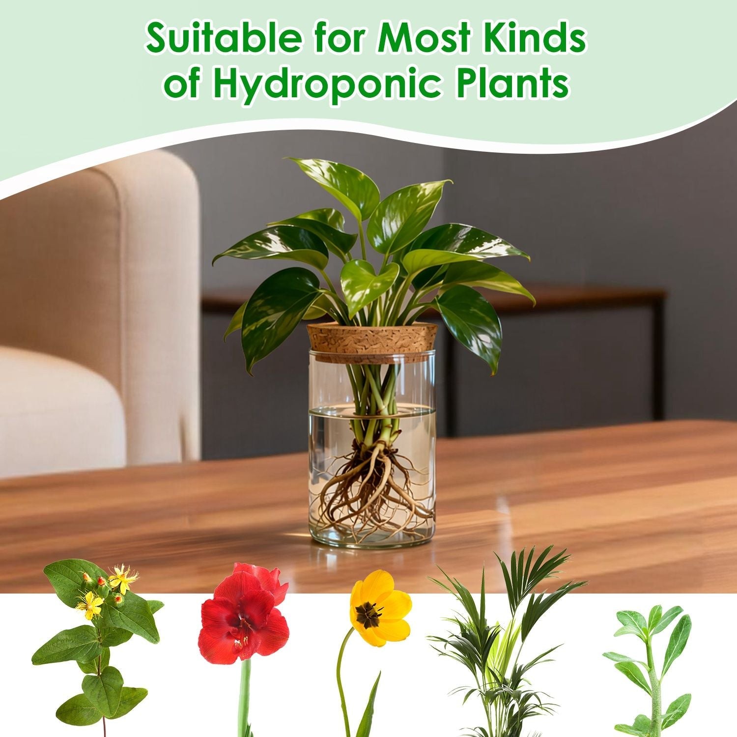4Pack Glass Propagation Stations For Plants Indoor Glass Planters Hydroponic Plant Vases 2 Large 2 Small for Plant Cuttings Flower Arrangements