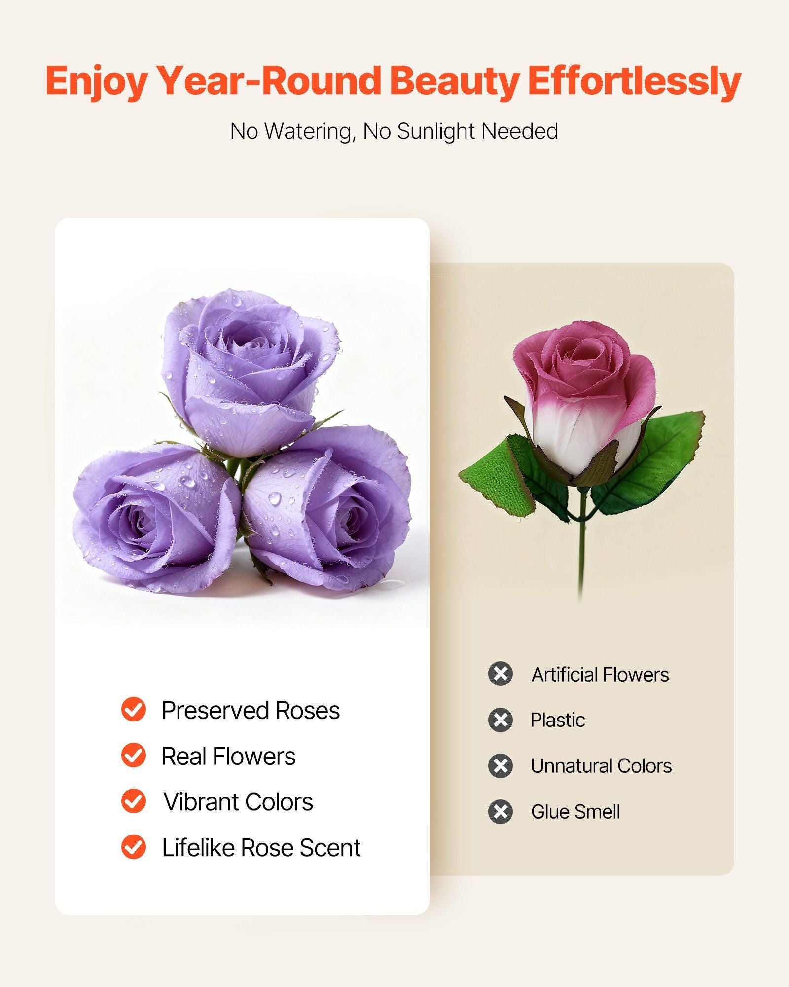 Forever Flowers, 50 Preserved Roses in a Box, Eternal Flowers Immortal Bouquet Birthday Present for Women Her Wife Mothers, Anniversary, Valentine's Day,Christmas, Lavender Purple