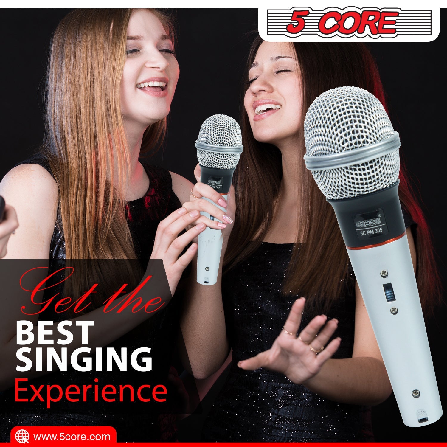 5 Core Microphone Wired Dynamic Vocal Handheld Mic Cardioid Karaoke Unidirectional Microfono w On and Off Switch Includes XLR Audio Cable for Singing, Public Speaking & Parties PM 305