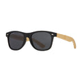 CLASSIC POLARIZED SUNGLASSES